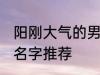 阳刚大气的男孩名字 阳刚大气的男孩名字推荐