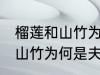 榴莲和山竹为什么是夫妻水果 榴莲和山竹为何是夫妻水果