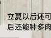 立夏以后还可以种多肉植物吗 立夏以后还能种多肉植物吗