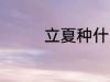 立夏种什么 立夏种的植物