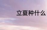 立夏种什么 立夏种的植物