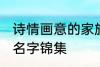 诗情画意的家族名字 诗情画意的家族名字锦集