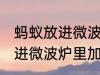 蚂蚁放进微波炉里加热会死吗 蚂蚁放进微波炉里加热会不会死