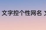 文字控个性网名 文字控个性网名介绍