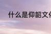 什么是仰韶文化 仰韶文化的解释