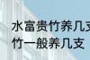 水富贵竹养几支最旺事业运 水养富贵竹一般养几支