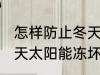 怎样防止冬天太阳能冻坏 如何防止冬天太阳能冻坏