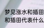 梦见涨水和插田有什么兆头 梦见涨水和插田代表什么