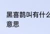 黑喜鹊叫有什么兆头 黑喜鹊叫是什么意思