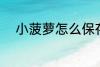 小菠萝怎么保存 怎么存放小菠萝