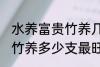 水养富贵竹养几支最旺运财 水养富贵竹养多少支最旺运财