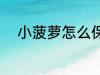 小菠萝怎么保存 怎么存放小菠萝