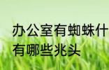办公室有蜘蛛什么兆头 办公室有蜘蛛有哪些兆头