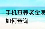 手机查养老金怎么查询 手机查养老金如何查询