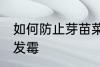 如何防止芽苗菜发霉 怎样防止芽苗菜发霉
