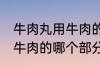 牛肉丸用牛肉的什么部分做 牛肉丸用牛肉的哪个部分做