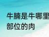 牛腩是牛哪里的肉 牛腩是牛身上哪个部位的肉