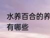 水养百合的养殖方法 水养百合的方法有哪些