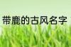 带鹿的古风名字 带鹿的古风名字介绍