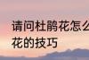 请问杜鹃花怎么养不爱死啊 养殖杜鹃花的技巧