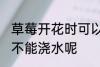 草莓开花时可以浇水吗 草莓开花时能不能浇水呢