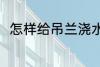 怎样给吊兰浇水 要如何给吊兰浇水