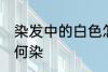 染发中的白色怎么染 染发中的白色如何染