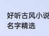好听古风小说名字大全 好听古风小说名字精选