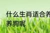 什么生肖适合养狗 到底哪些生肖适合养狗呢