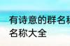 有诗意的群名称大全 好听有诗意的群名称大全