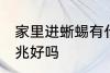 家里进蜥蜴有什么预兆 家里进蜥蜴预兆好吗