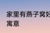 家里有燕子窝好不好 家里有燕子窝的寓意
