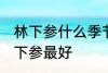 林下参什么季节吃最好 什么季节吃林下参最好