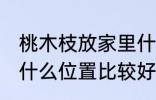 桃木枝放家里什么位置 桃木枝放家里什么位置比较好