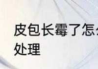 皮包长霉了怎么处理 皮包长霉了如何处理