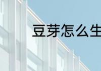 豆芽怎么生长 豆芽如何生长