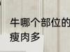 牛哪个部位的肉是纯瘦肉 牛哪个部位瘦肉多