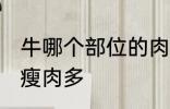 牛哪个部位的肉是纯瘦肉 牛哪个部位瘦肉多