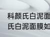 科颜氏白泥面膜的正确使用方法 科颜氏白泥面膜如何正确的使用