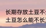 长期存放土豆不生芽的方法 长期存放土豆怎么能不长芽