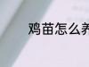 鸡苗怎么养 鸡苗的养殖方法