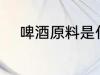 啤酒原料是什么 啤酒是什么做的