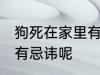 狗死在家里有忌讳嘛 狗死在家里有没有忌讳呢