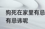 狗死在家里有忌讳嘛 狗死在家里有没有忌讳呢