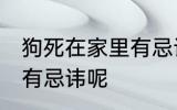 狗死在家里有忌讳嘛 狗死在家里有没有忌讳呢