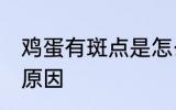鸡蛋有斑点是怎么回事 鸡蛋有斑点的原因
