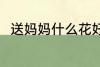 送妈妈什么花好 妈妈生日送什么花
