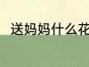送妈妈什么花好 妈妈生日送什么花