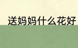送妈妈什么花好 妈妈生日送什么花