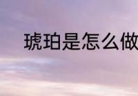 琥珀是怎么做的 琥珀的制作方法